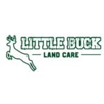 LittleBuckv2@4x